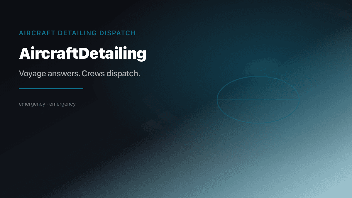 Aircraft Detailing industry scene